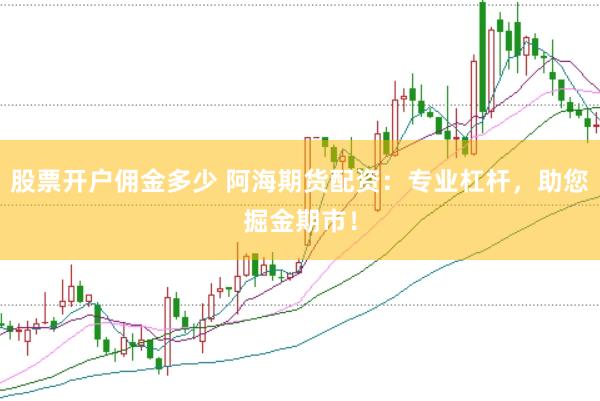 股票开户佣金多少 阿海期货配资：专业杠杆，助您掘金期市！